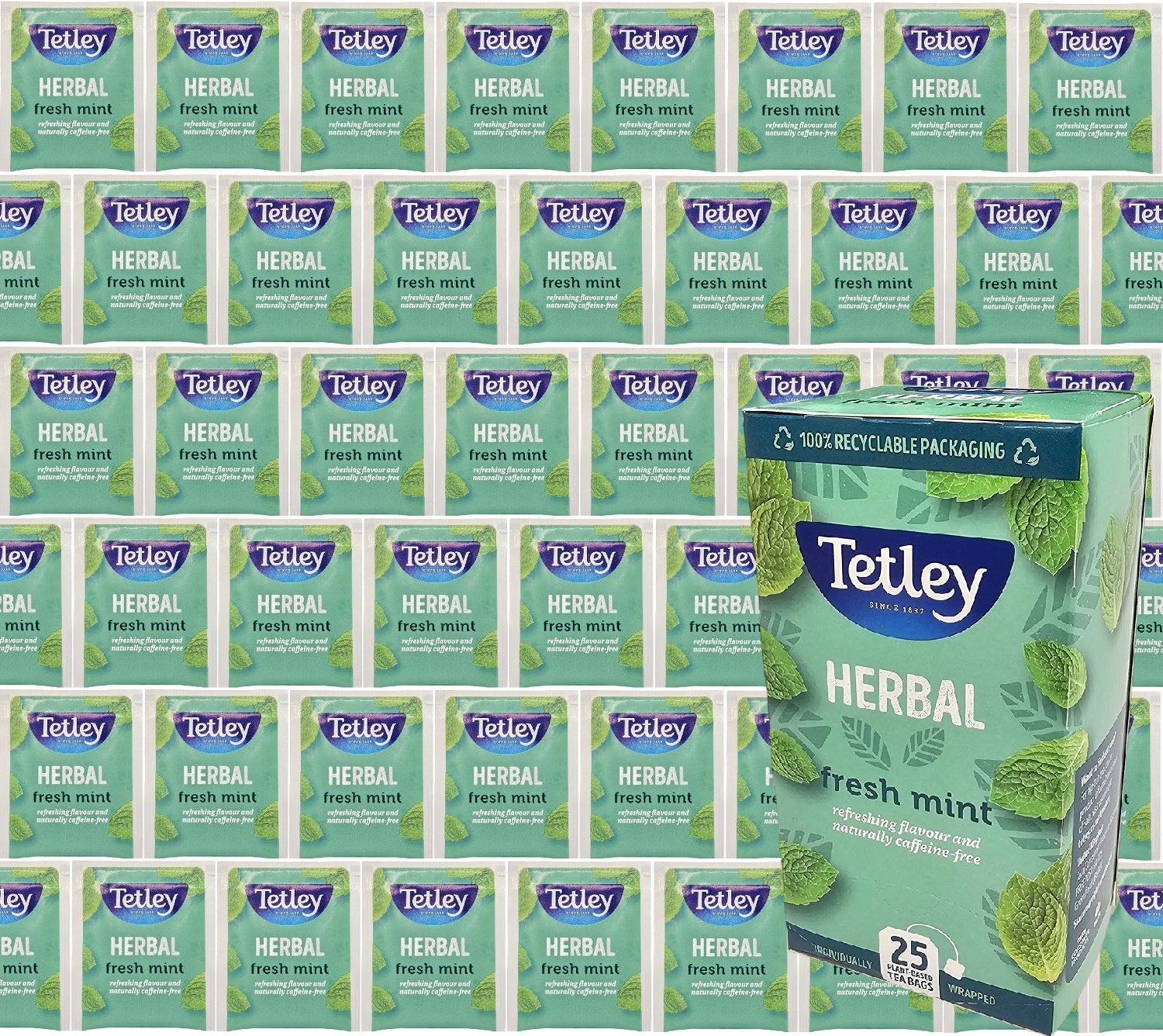 Tetley Tea Bags Individual Enveloped Sachets Tagged Classic Flavoured Selections
