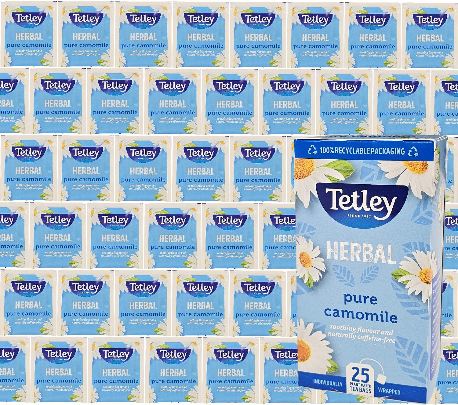 Tetley Tea Bags Individual Enveloped Sachets Tagged Classic Flavoured Selections