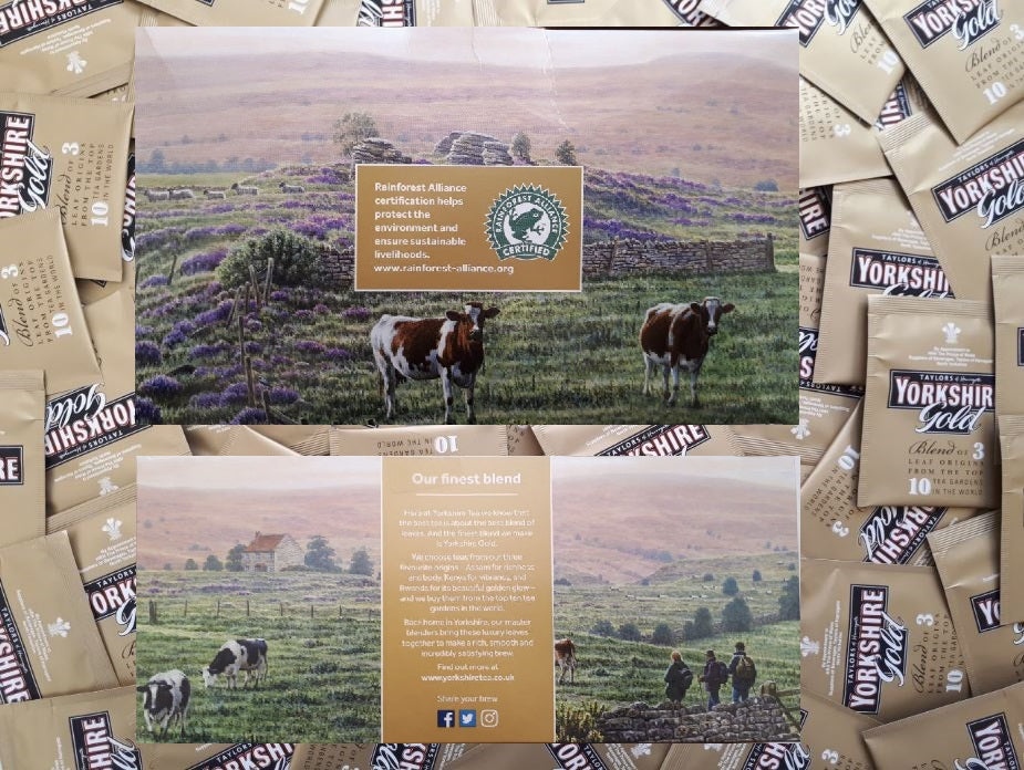 Yorkshire Gold Individually Wrapped One Cup Tea Bags